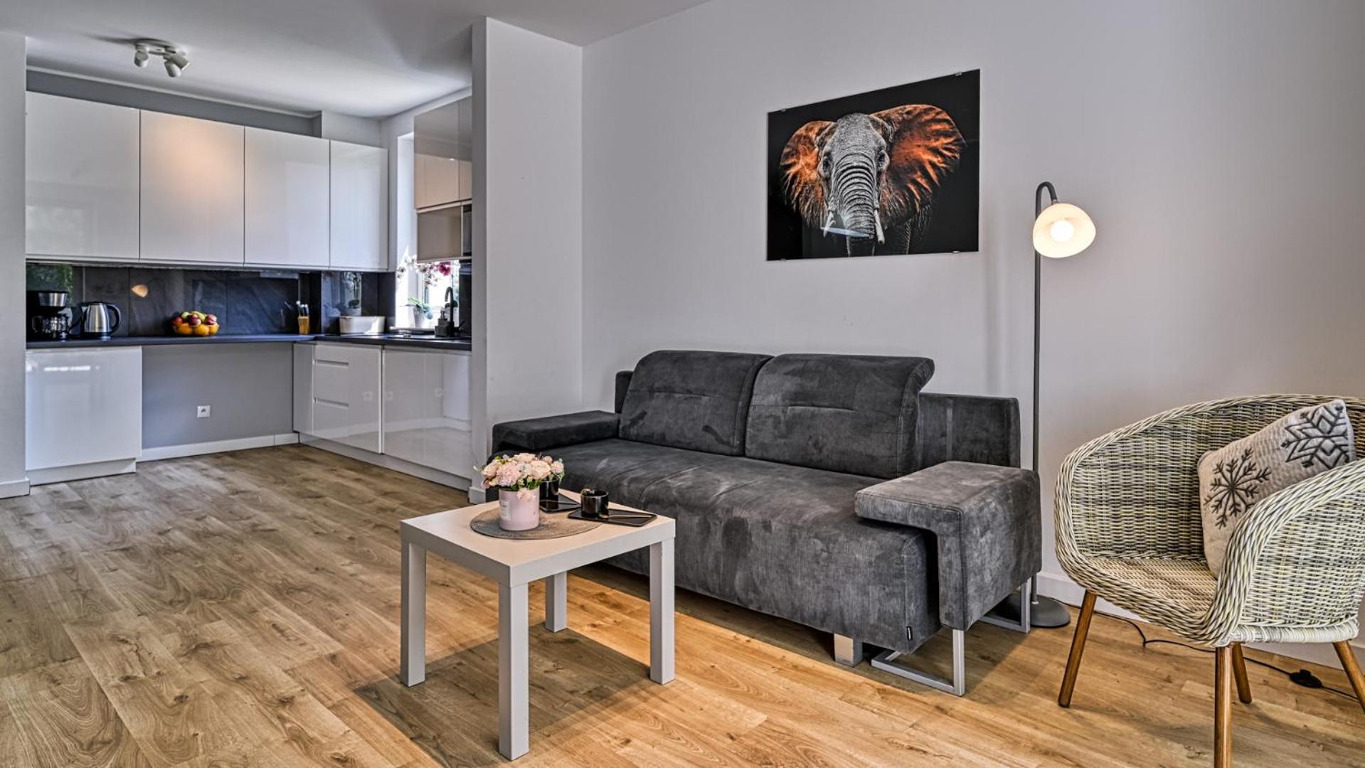 Apartamenty Piano By Royal Aparts Świeradów-Zdrój エクステリア 写真